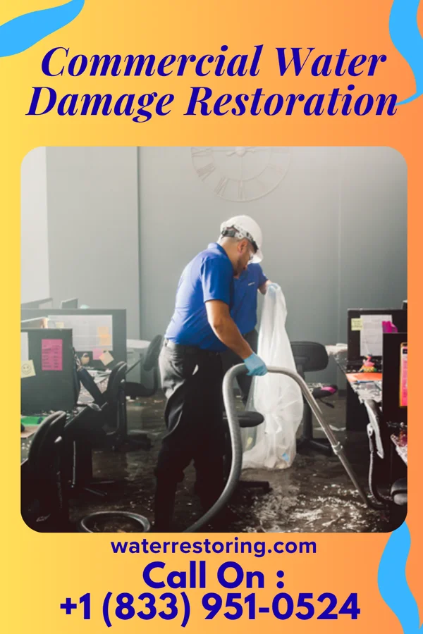 Commercial Water Damage Restoration in Bald Eagle, PA