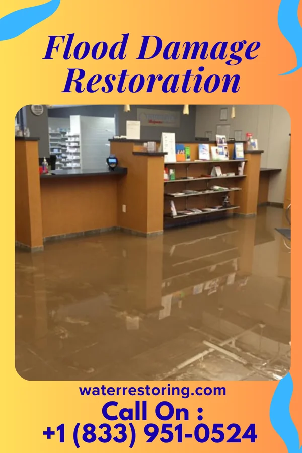 Flood Damage Restoration in Bald Eagle, PA