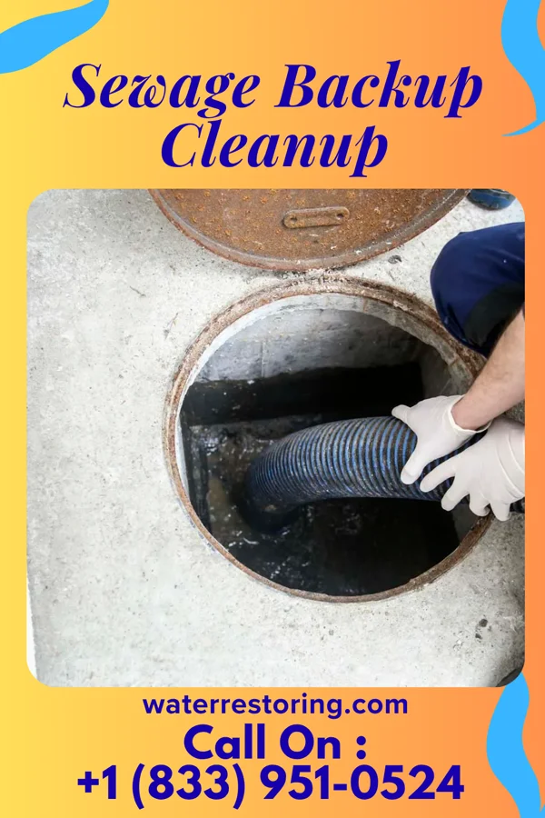 Sewage Backup Cleanup in Bald Eagle, PA
